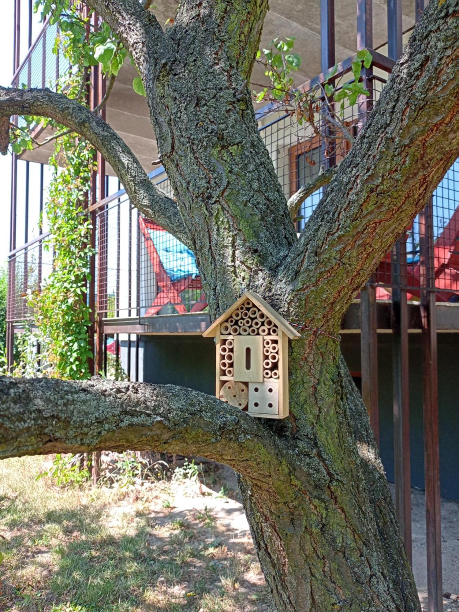 Vila Vekose - Apartman S Terasou A Zahradou Hradec Králové Exterior foto